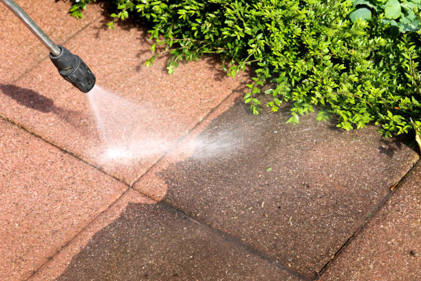 Best Exterior Home Cleaning  in Russellville, KY